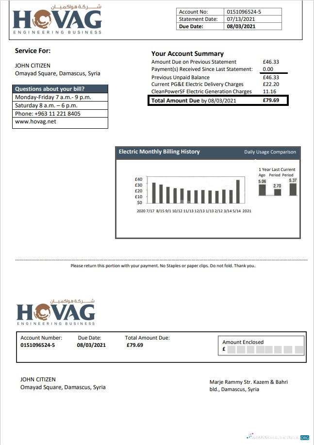 download Syria HOVAG Company electricity utility bill template in Word and PDF format PDF template